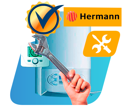 servicio técnico Hermann Toledo